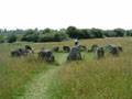 celtic park - stone ring.jpg